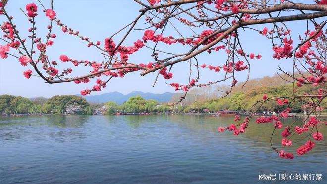名全面更新靠谱推荐旅游者必看！九游会j9登录苏州旅行社前十(图3)